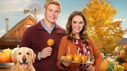 Love, Fall & Order